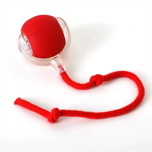 Pelota Interactiva Mascotas