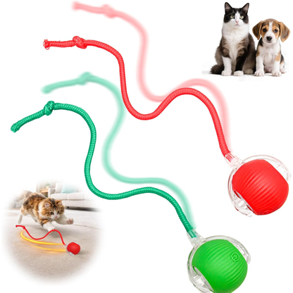 Pelota Interactiva Mascotas